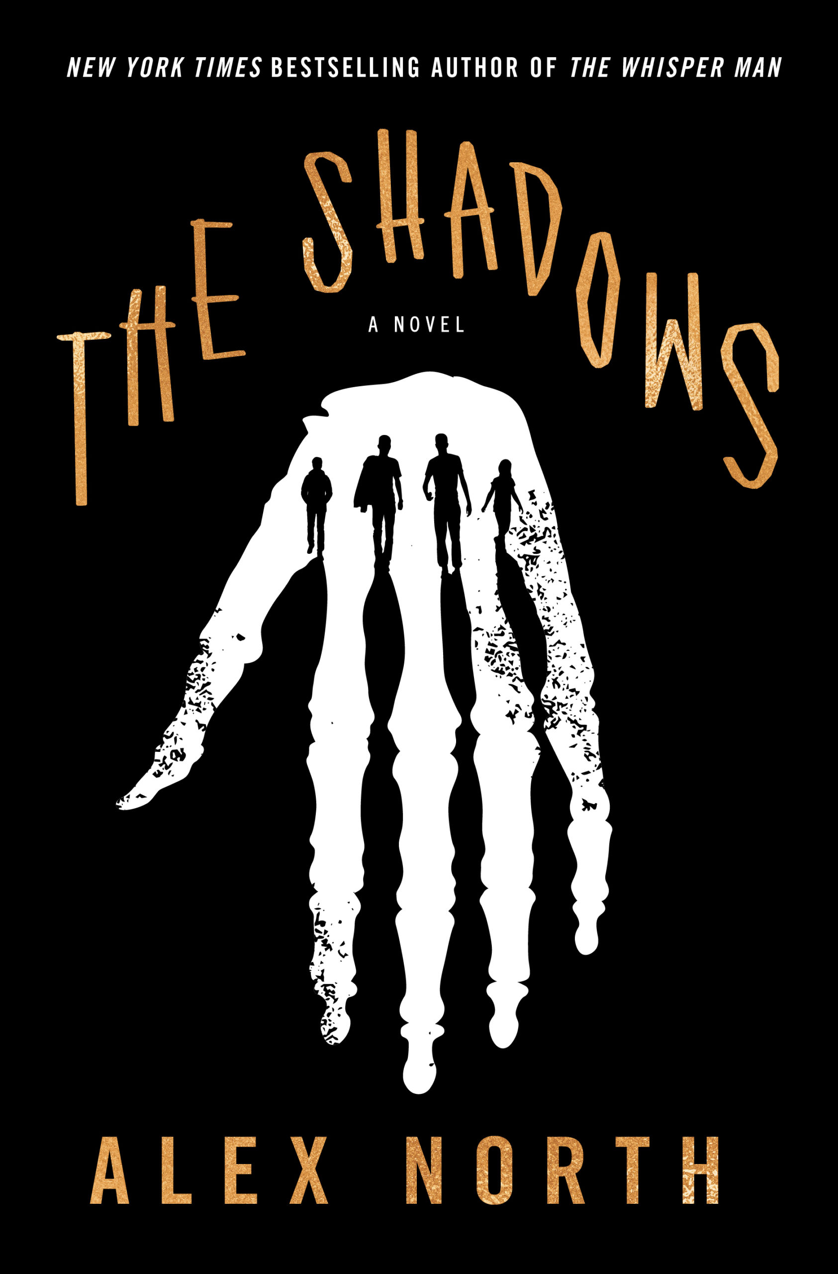 The Shadow A Novel
