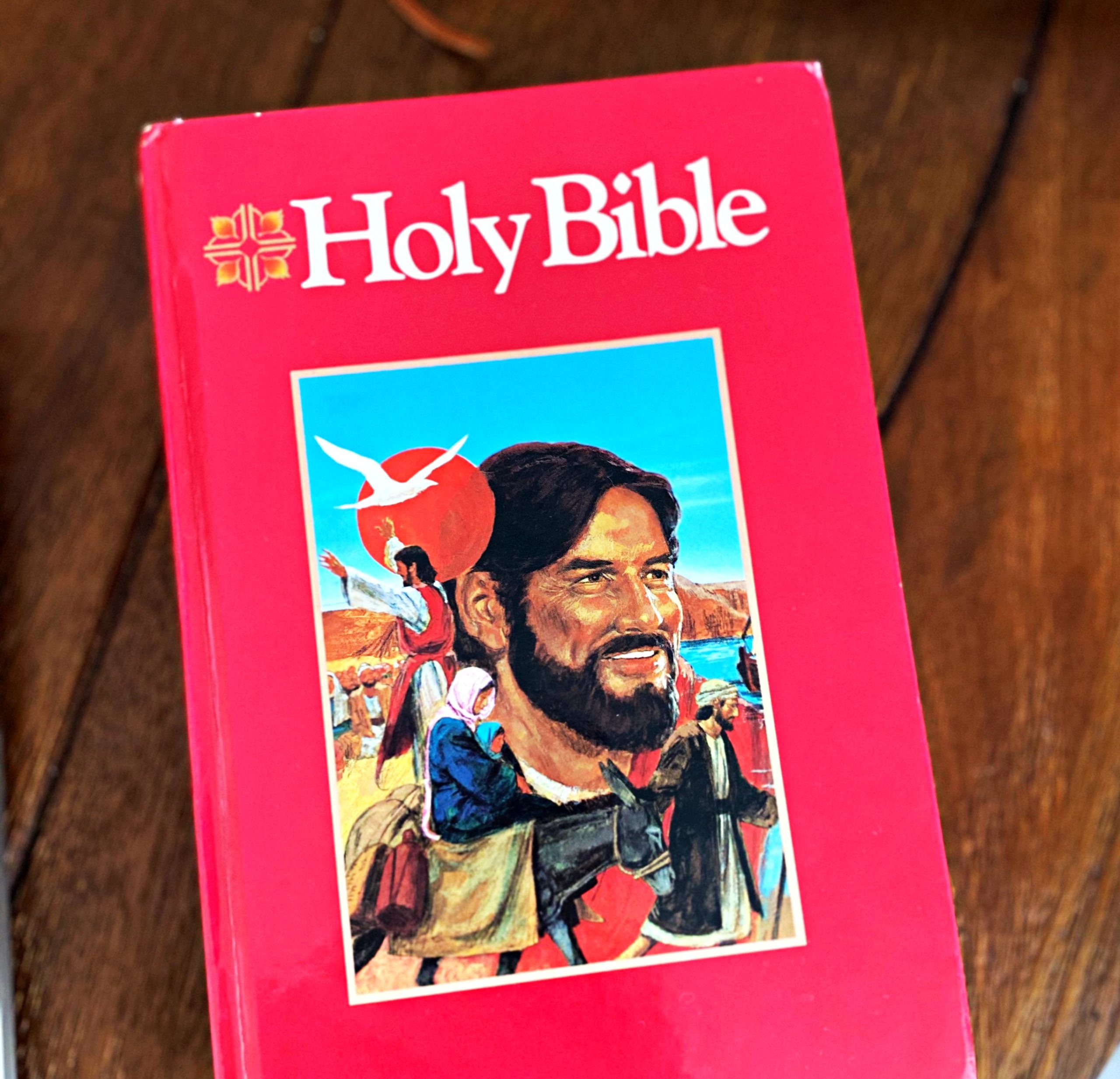 NVC Children's Bible