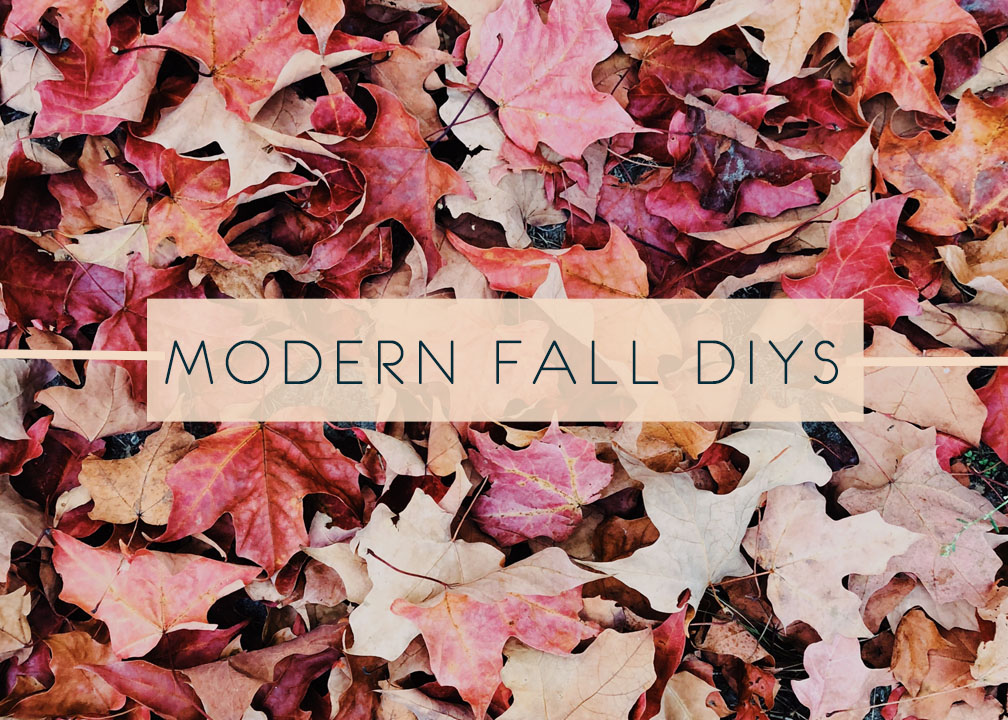 6 DIY Ideas That Are Perfect for the Fall Season!