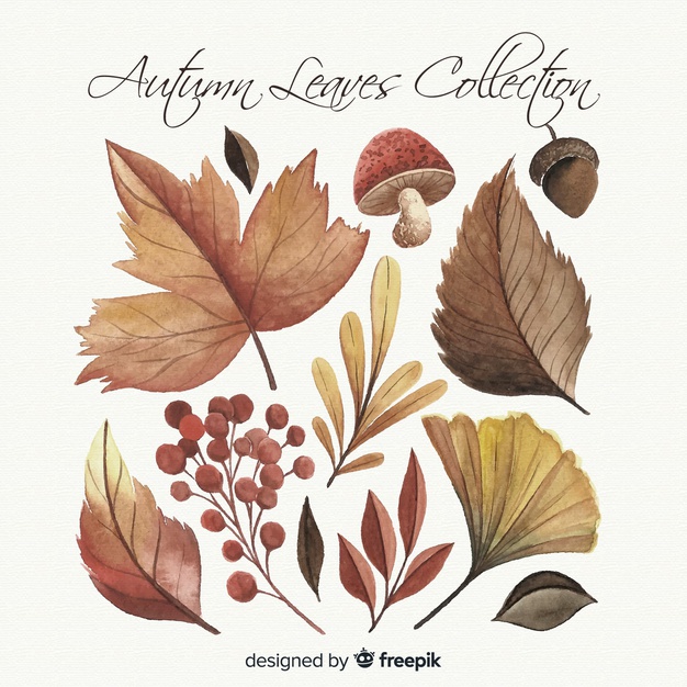 watercolor-style-autumn-leaves-collection