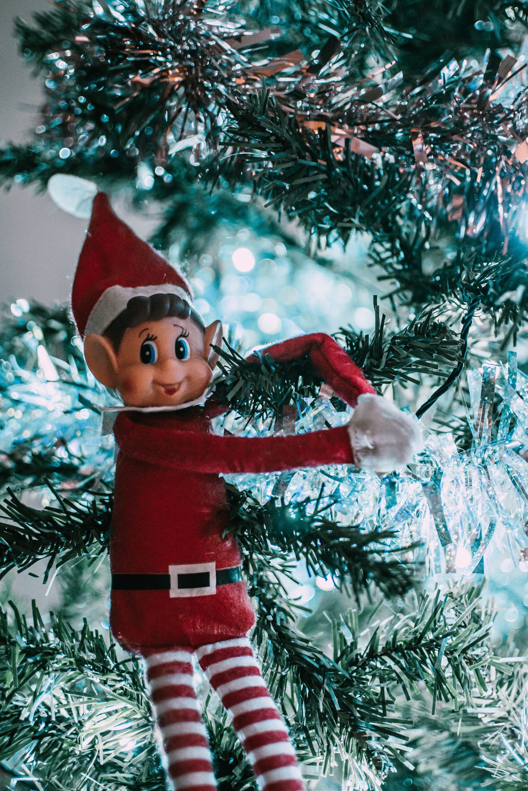 12 Days of Christmas: Day #2, What’s Your Elfname