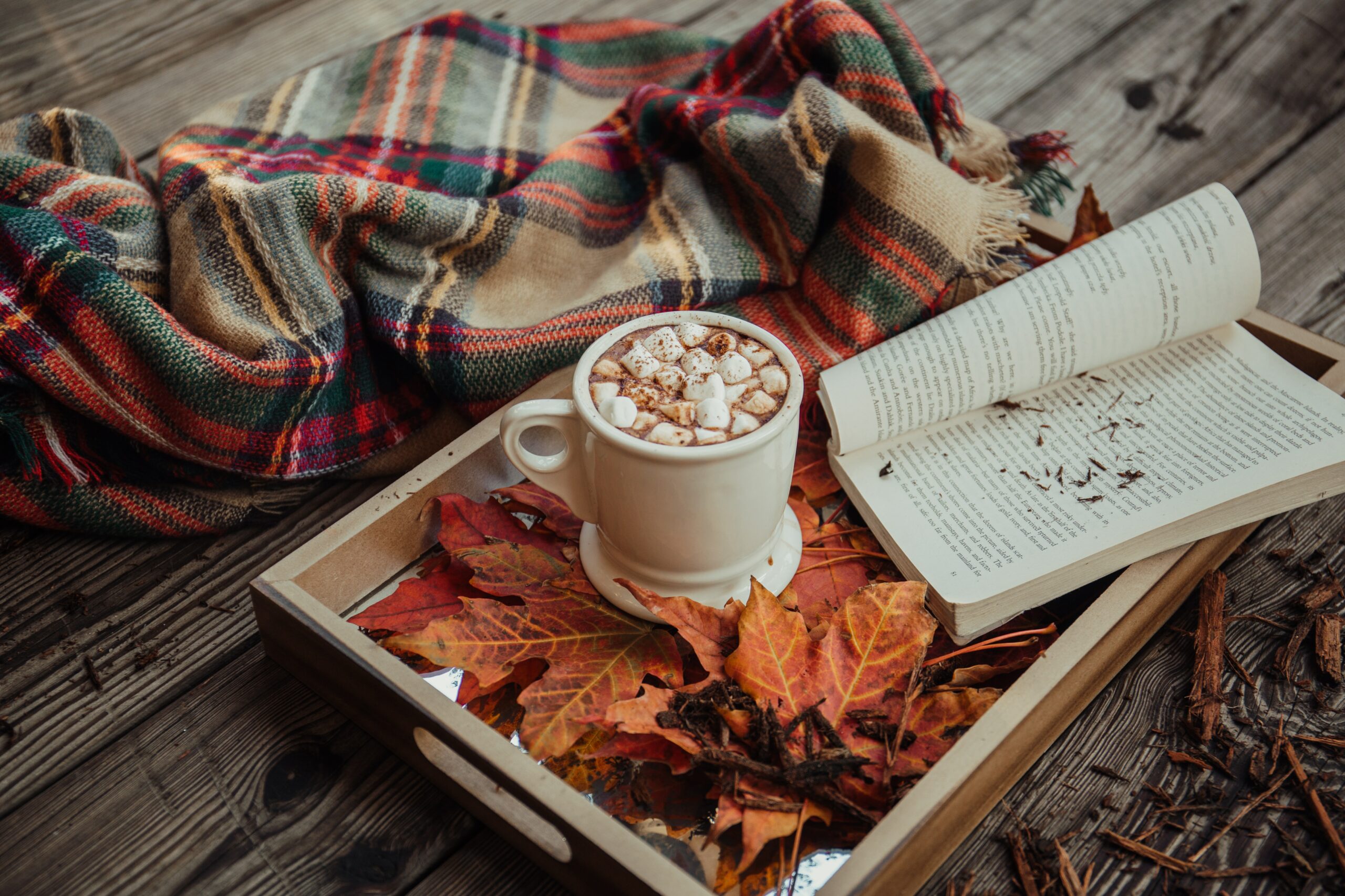 Classic Reads for the Fall Season