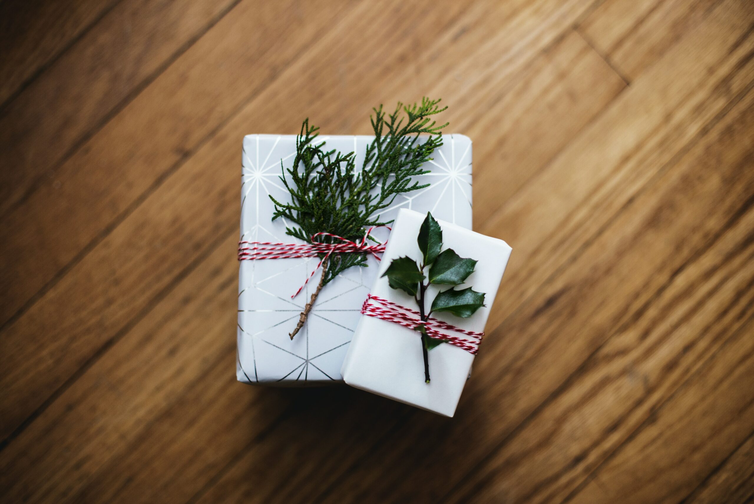 Holiday Gifts Ideas for the Book Worm
