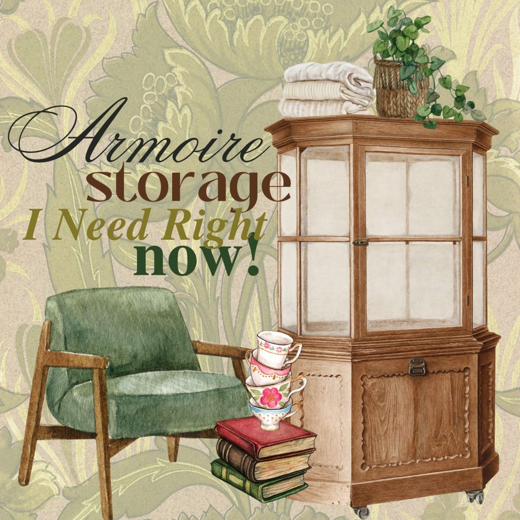 Armoire Storage I Need Right Now!