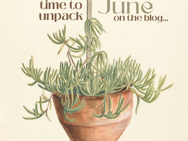That’s a Wrap! Time To Unpack the Month of June