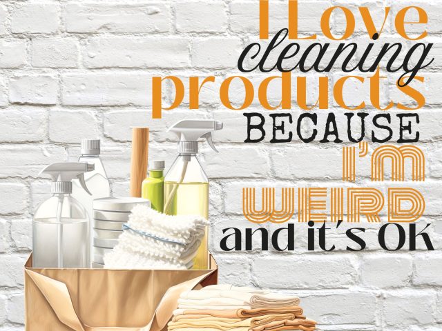 I Love ❤️ Cleaning Products! Because I’m Weird and it’s OK.