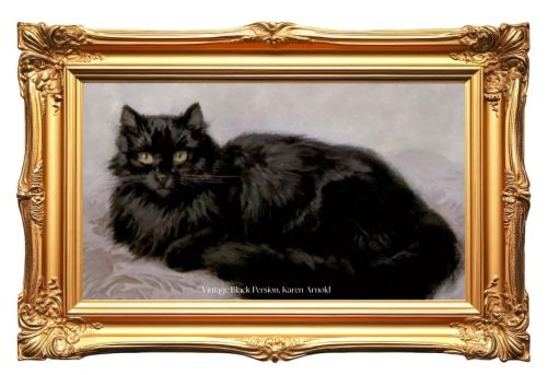 Black Persian