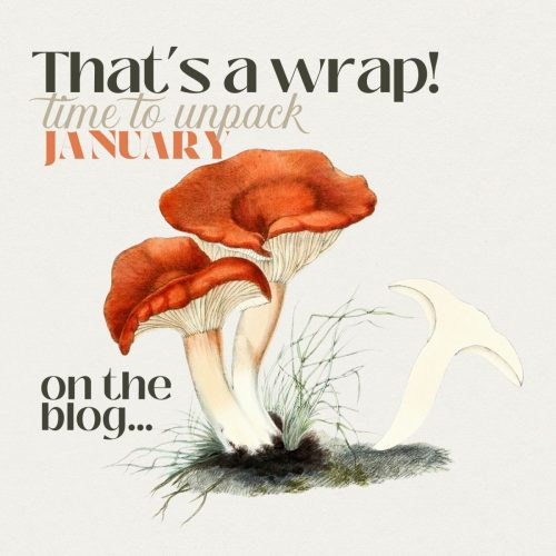 The first wrap of 2026! Let’s Unpack….